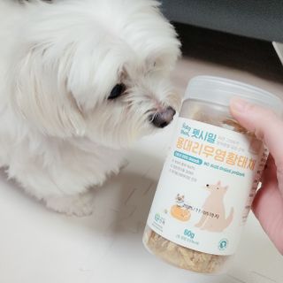 [펫시밀] 원물그대로 강원도 인제군 용대리 무염황태채 60g 강아지 고양이 프리미엄 수제간식 — 5점을 준 리뷰어가 2023년 11월 올린 사용 사진