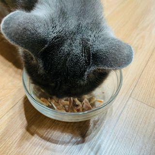 봉봉쥬님이 올린 리뷰 사진 4