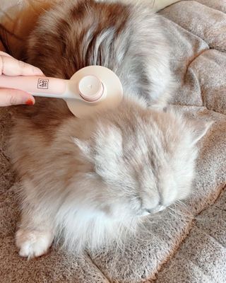 럽S하3님이 올린 리뷰 사진 2