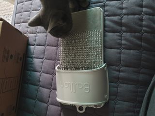 유지영님이 올린 리뷰 사진 2
