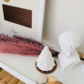 코하드블랑 캘리포니아 규조토 포레스트 인테리어 오브제 — 4점을 준 리뷰어가 2021년 2월 올린 사용 사진