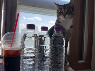 몽베스트 [MONTBEST]위드어스 500mL 20병 — 5점을 준 리뷰어가 2022년 9월 올린 사용 사진