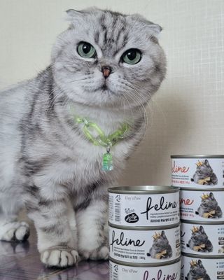 유햐님이 올린 리뷰 사진 2
