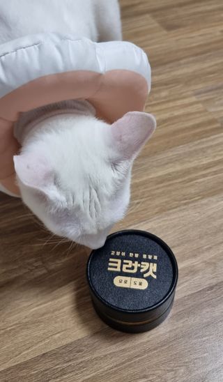땡글님이 올린 리뷰 사진 1