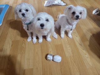 공팔리터님이 올린 리뷰 사진 2