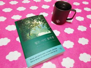혜수님님이 올린 리뷰 사진 1