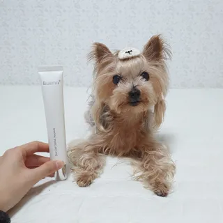 솜희님이 올린 리뷰 사진 3