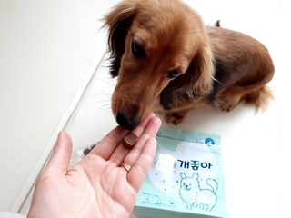 My Pet Care 천연단백질 눈건강에 개좋아 — 5점을 준 리뷰어가 2021년 2월 올린 사용 사진