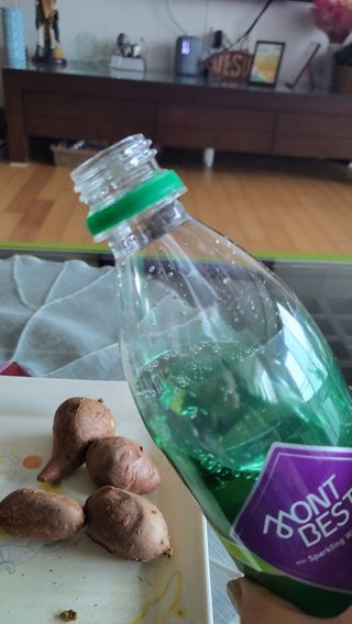 몽베스트 Montbest with Sparkling water Lime20병 — 5점을 준 리뷰어가 2022년 9월 올린 사용 사진