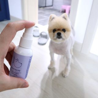 박할미님이 올린 리뷰 사진 3