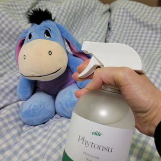 키키님이 올린 리뷰 사진 2