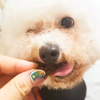 쁘띠피츄님이 올린 리뷰 사진 4