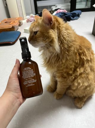 선아이님이 올린 리뷰 사진 3