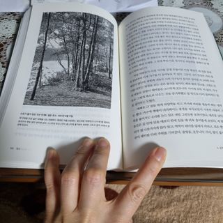 하늘짱님이 올린 리뷰 사진 2