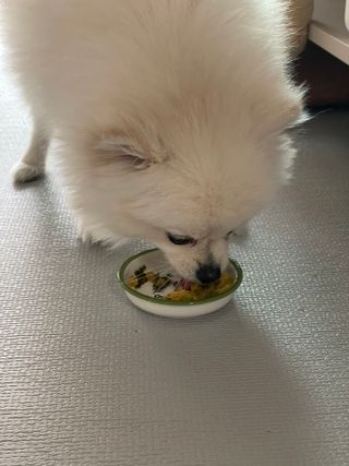 핸감자님이 올린 리뷰 사진 4
