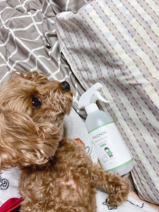 냠얌이님이 올린 리뷰 사진 3