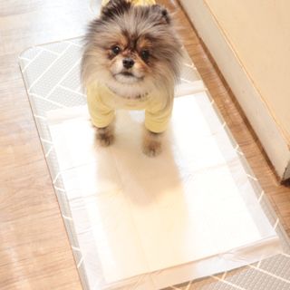 오코리타님이 올린 리뷰 사진 4