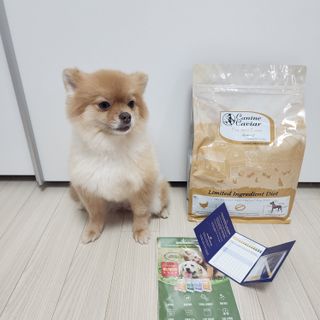 캐닌캐비어 알카라인 홀리스틱 그레이프리 앙뜨레 ALS_4종 오픈스카이, 와일드오션, 프리스피릿, 스페셜니즈 — 5점을 준 리뷰어가 2023년 4월 올린 사용 사진