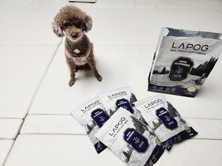 [푸디웜] 라포그 리얼인섹트 소프트키블 스킨 1KG — 5점을 준 리뷰어가 2022년 9월 올린 사용 사진