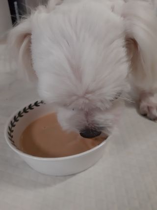 부산댁님이 올린 리뷰 사진 4