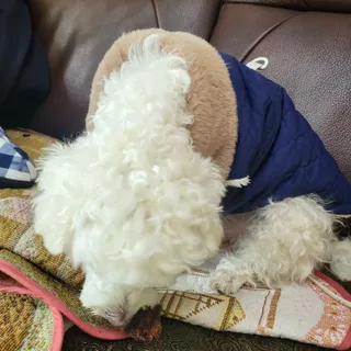 햄님이 올린 리뷰 사진 3