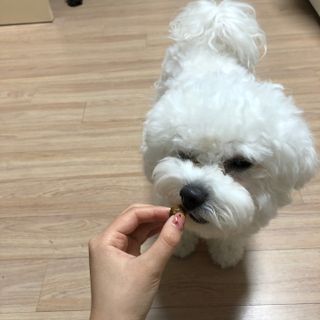 승미쨩님이 올린 리뷰 사진 4