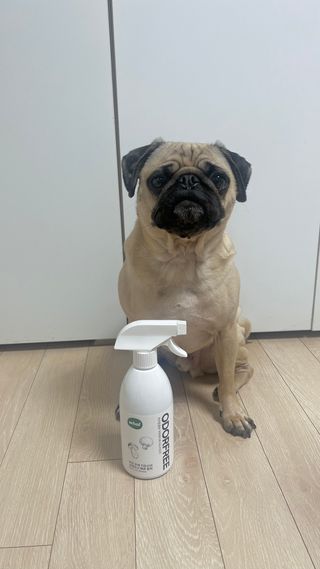 은때님이 올린 리뷰 사진 3