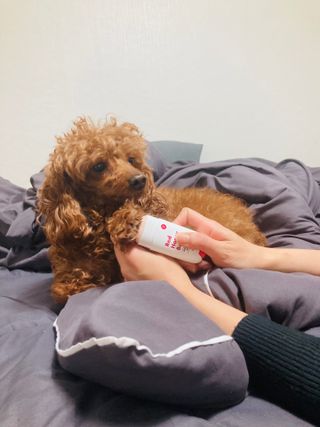 스링님이 올린 리뷰 사진 3
