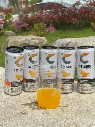 셀시어스 오리지널 325ml 에너지 비타민 피트니스 드링크(24can) 다이어트 음료 — 4점을 준 리뷰어가 2022년 5월 올린 사용 사진