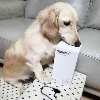 PDKIM님이 올린 리뷰 사진 1