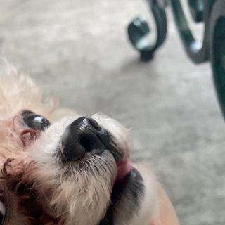 조이님이 올린 리뷰 사진 2