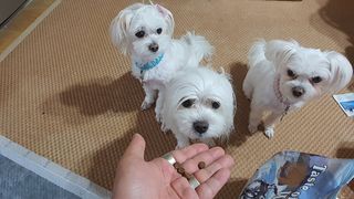 공팔리터님이 올린 리뷰 사진 3