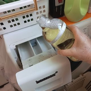 정혜님이 올린 리뷰 사진 1