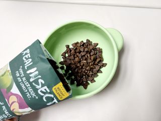 [푸디웜] 라포그  리얼인섹트 웨이트밸런스 저알러지 강아지 사료  1.2KG — 5점을 준 리뷰어가 2022년 7월 올린 사용 사진
