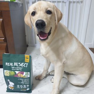 [푸디웜] 라포그  리얼인섹트 웨이트밸런스 저알러지 강아지 사료  1.2KG — 5점을 준 리뷰어가 2021년 7월 올린 사용 사진