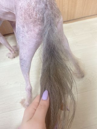 마이츄님이 올린 리뷰 사진 3