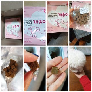 My Pet Care 천연단백질 관절건강에 개좋아 — 5점을 준 리뷰어가 2021년 1월 올린 사용 사진