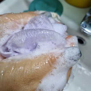빅그린 니치 퍼퓸 바이옴바디워시 500ml(상탈, 블랙베리&베이, 블랑쉐 3종 중 택1) — 5점을 준 리뷰어가 2022년 12월 올린 사용 사진