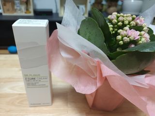 새돌댕댕님이 올린 리뷰 사진 1