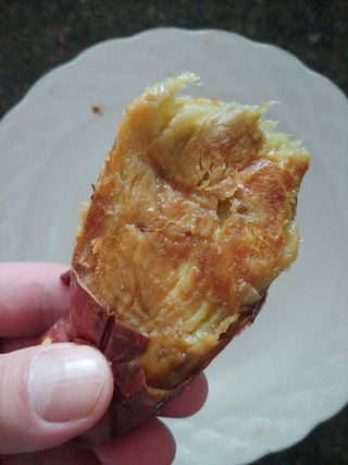 람보슈터님이 올린 리뷰 사진 4