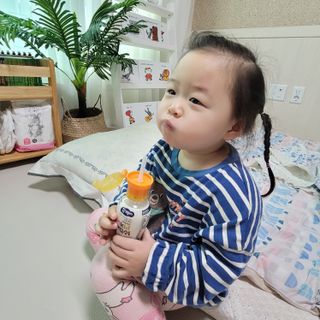 푸들ol님이 올린 리뷰 사진 4