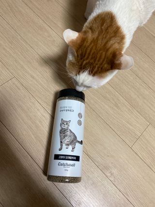 yooon❤️님이 올린 리뷰 사진 2