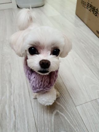 라임님이 올린 리뷰 사진 1
