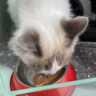 persona님이 올린 리뷰 사진 3
