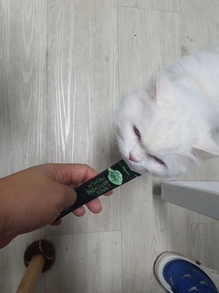 poochi님이 올린 리뷰 사진 4