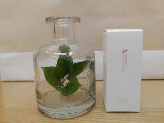 [미릴] 맑음빛 레드빈 브라이트닝 앰플 — 5점을 준 리뷰어가 2021년 1월 올린 사용 사진