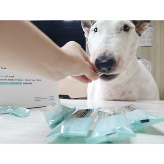 페페로니 클린플러스 덴탈치킨껌 10g x 14p — 3점을 준 리뷰어가 2021년 7월 올린 사용 사진