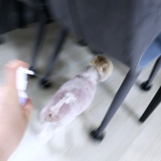 박할미님이 올린 리뷰 사진 4