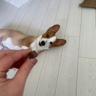 오랑캐님이 올린 리뷰 사진 4