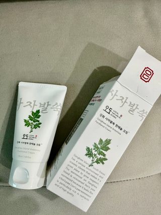 쭈야님이 올린 리뷰 사진 1